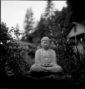 Guerneville Buddha statue, meditation, mindfulness