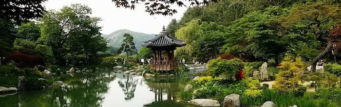 arboretum, Zen, pond, water, mindfulness, meditation