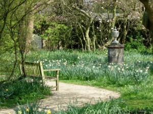 bench, flower, garden, path, meditation