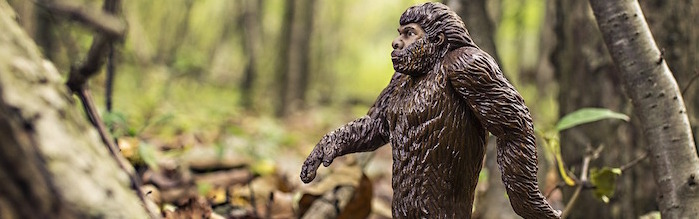 Bigfoot walking in forest (toy)