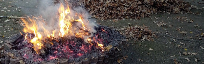 Fire pit and pile of leaves