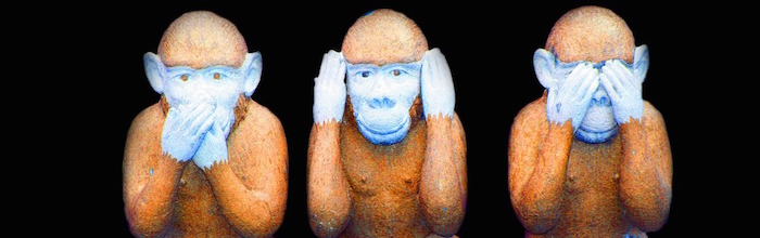 Monkeys: See No, Speak No, Hear No Evil (Pixabay)