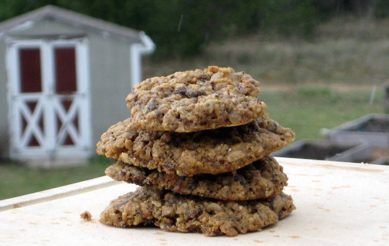 Triple ginger cookies with oatmeal and chocolate chips
