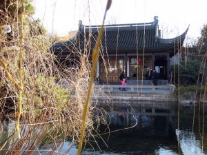Slow down: Pond and grasses at Portland Chinese Gardens (by Shawn Radcliffe)