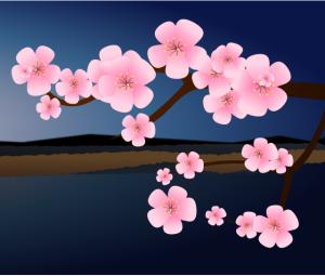 Japanese-style painting of cherry blossoms