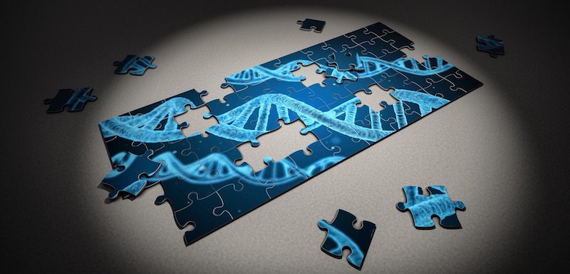 social media can help increase public awareness of gene editing